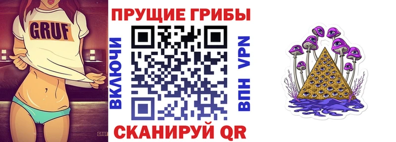 OMG вход  Белоозёрский  Галлюциногенные грибы мухоморы  закладка 